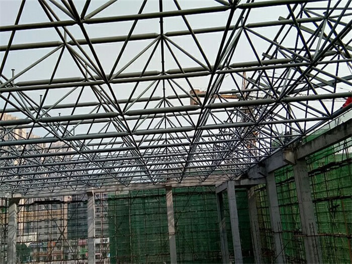 邹城光谷第十一小学网架